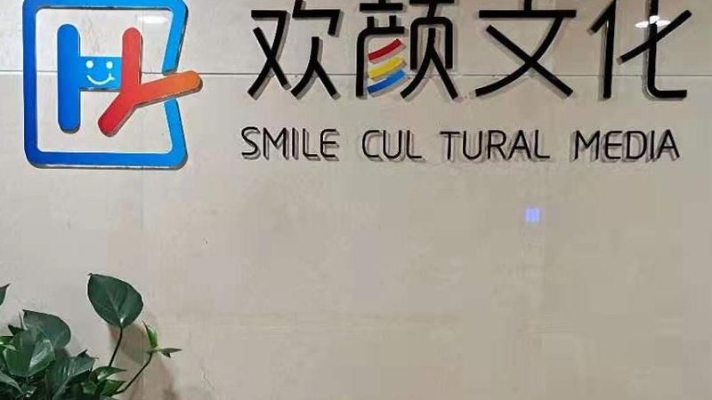 广州本地公关传播案例：深度解析与对比